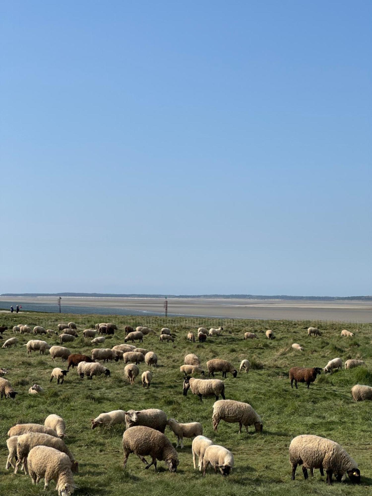 Gite Du Flot - Baie De Somme Boismont  Dış mekan fotoğraf